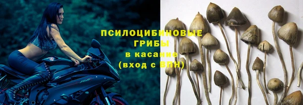 ГАЛЛЮЦИНОГЕННЫЕ ГРИБЫ Балабаново