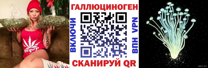 Галлюциногенные грибы GOLDEN TEACHER  Гаврилов-Ям 