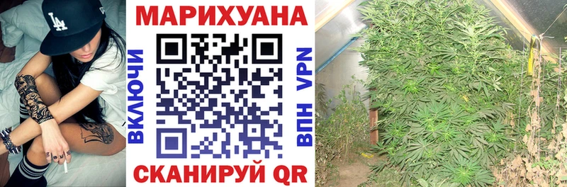 МАРИХУАНА Amnesia  купить наркотик  shop Telegram  Гаврилов-Ям 